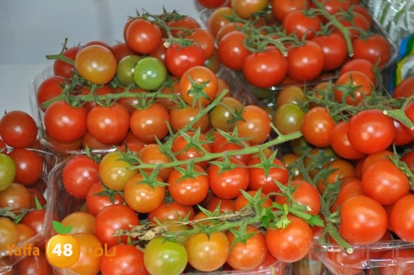 yaffa sooq 0306 (13).JPG